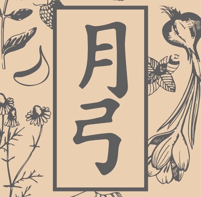 AS Chinese Medicine | Integrative Medicine-Acupunturista