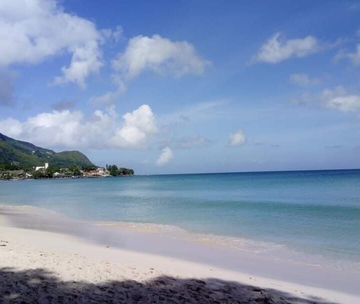 Cantinho Rosa Choi-Centro de bem-estar