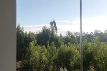 Duplo Equilíbrio-Osteopata