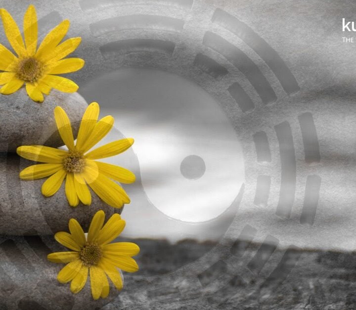 Kumi Healing-Clínica de Acupuntura